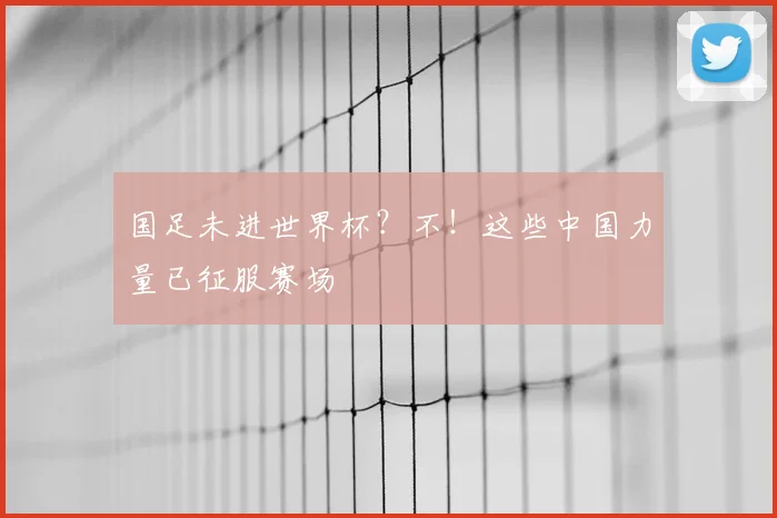 国足未进世界杯？不！这些中国力量已征服赛场